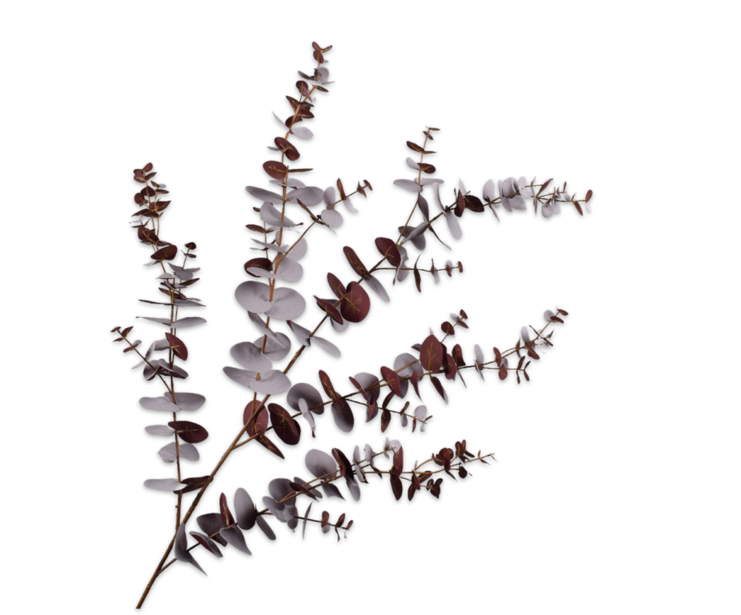 Eucalyptus Branch - Brown - 143cm
