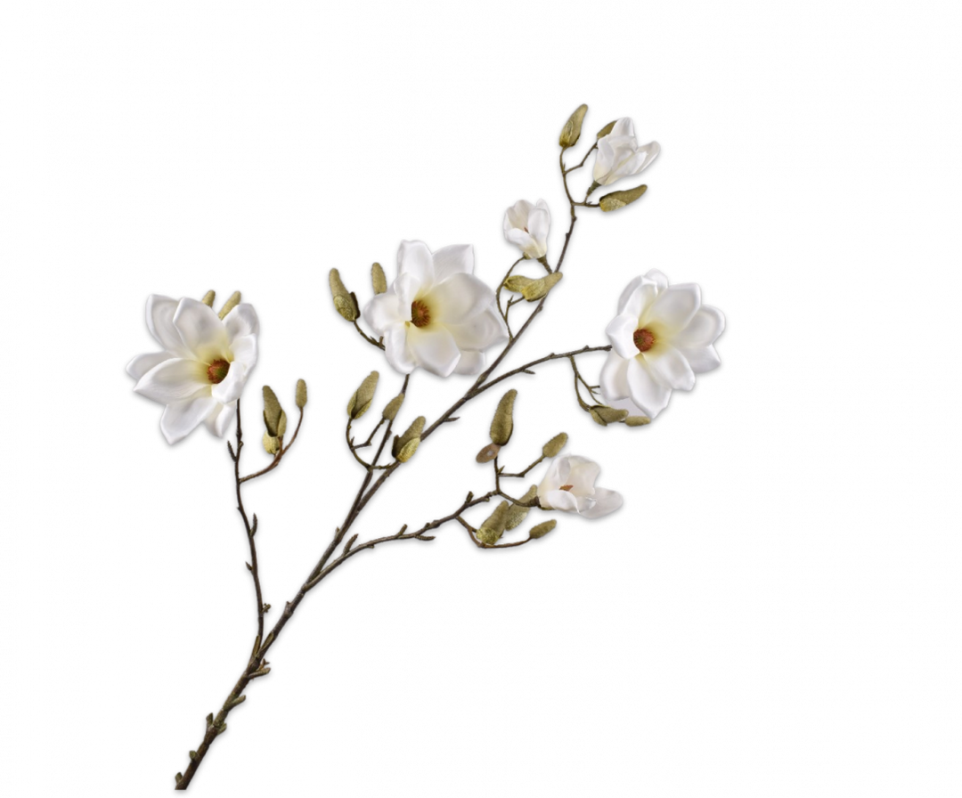 Magnolia Branch - Mystic Cream - 138cm