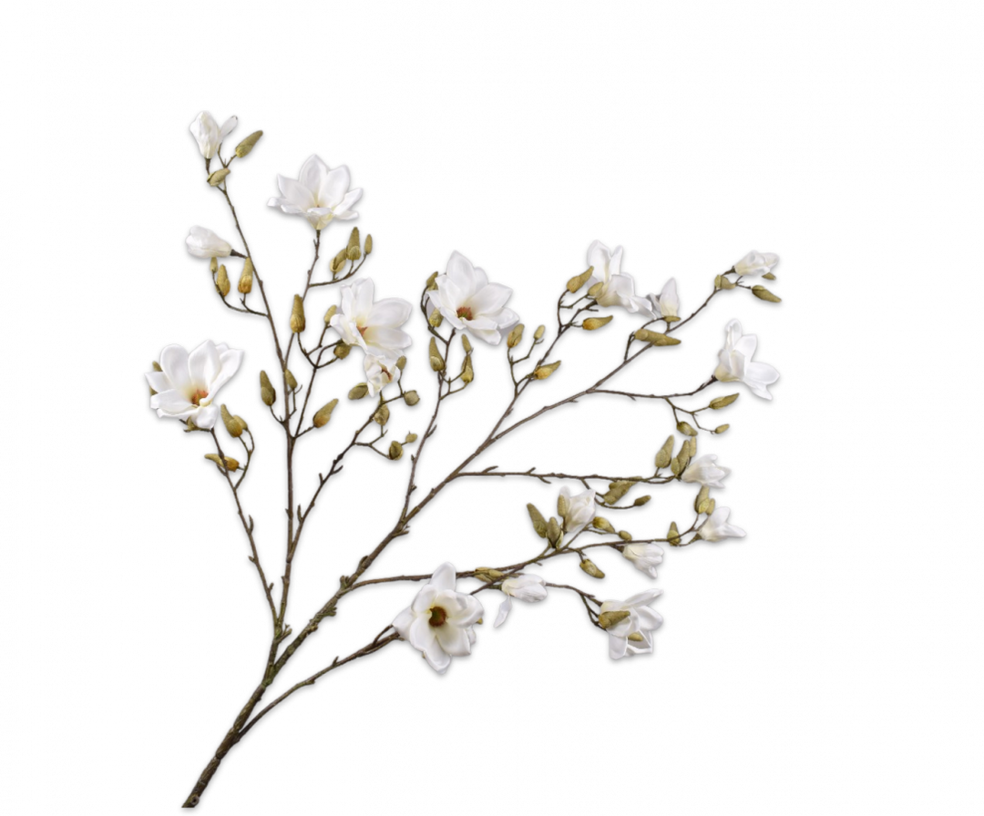 Magnolia Branch - Mystic Cream - 191cm