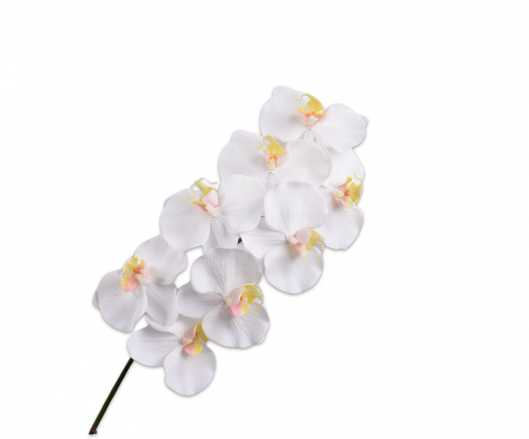 Branch - Phalaenopsis - White - 83cm