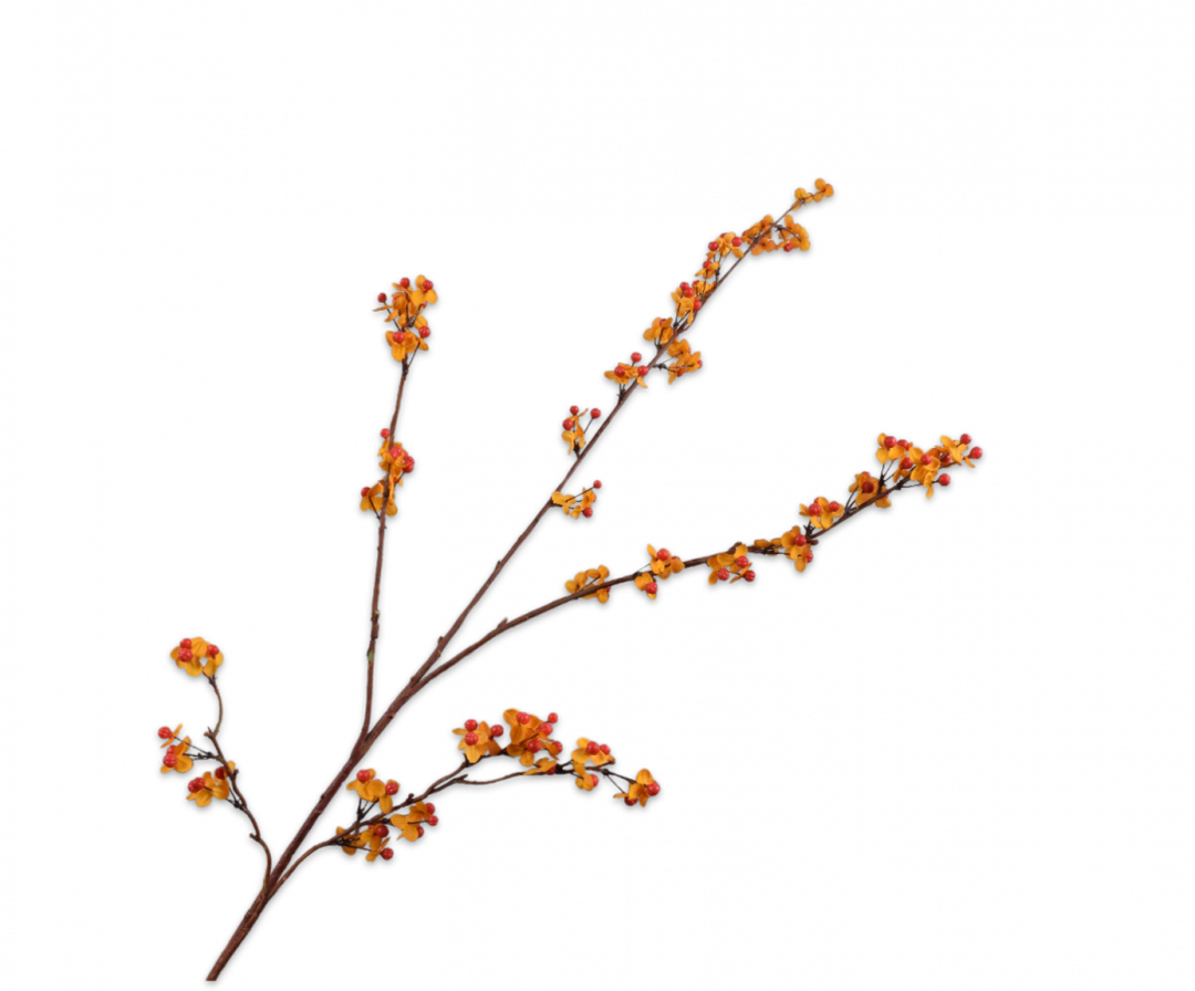 Celastrus Branch - Orange - 109cm