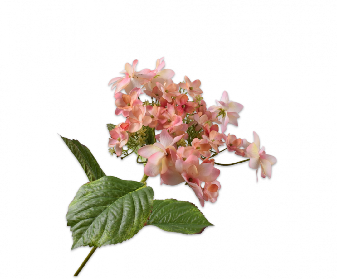 Hydrangea Branch - Peach - 74cm