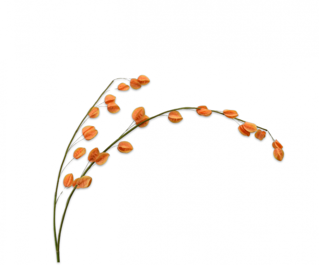 Physalis Branch - Orange - 145cm