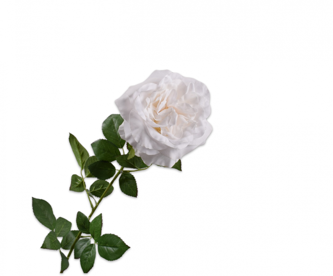 Rose Branch - Creme - 91cm