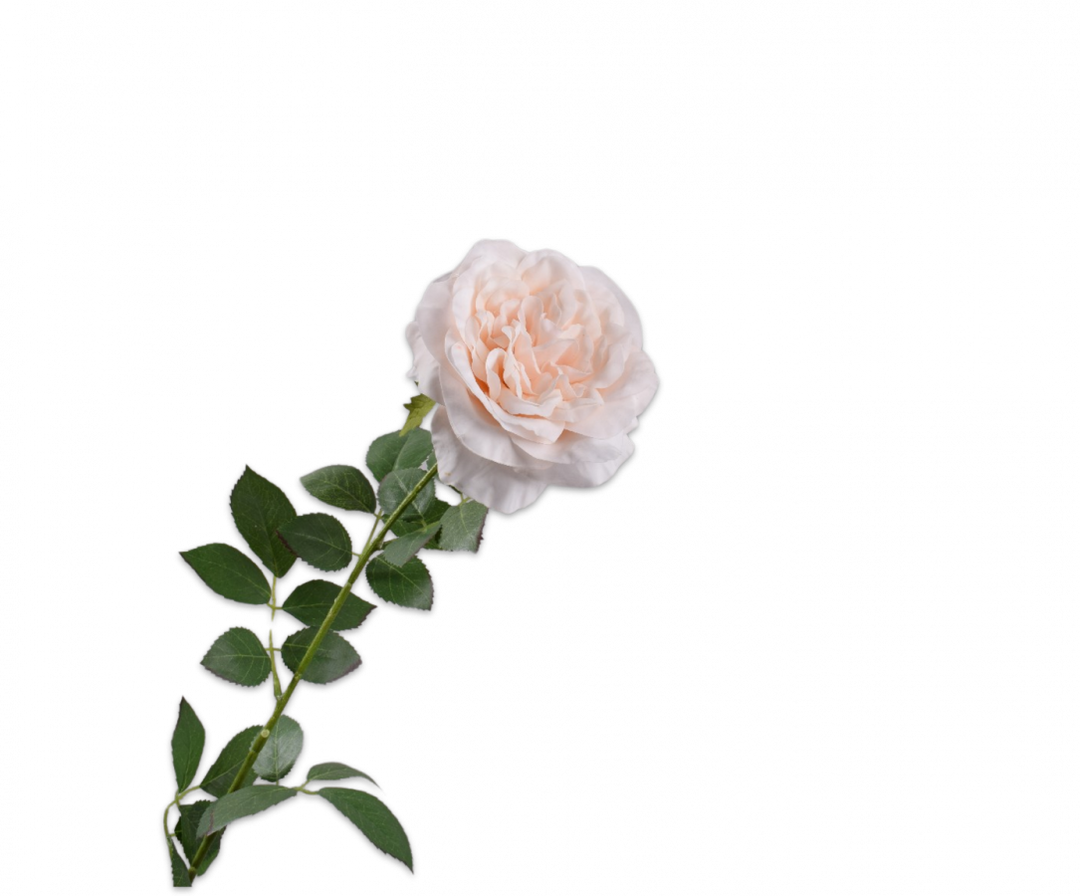 Rose Branch - Peach - 91cm