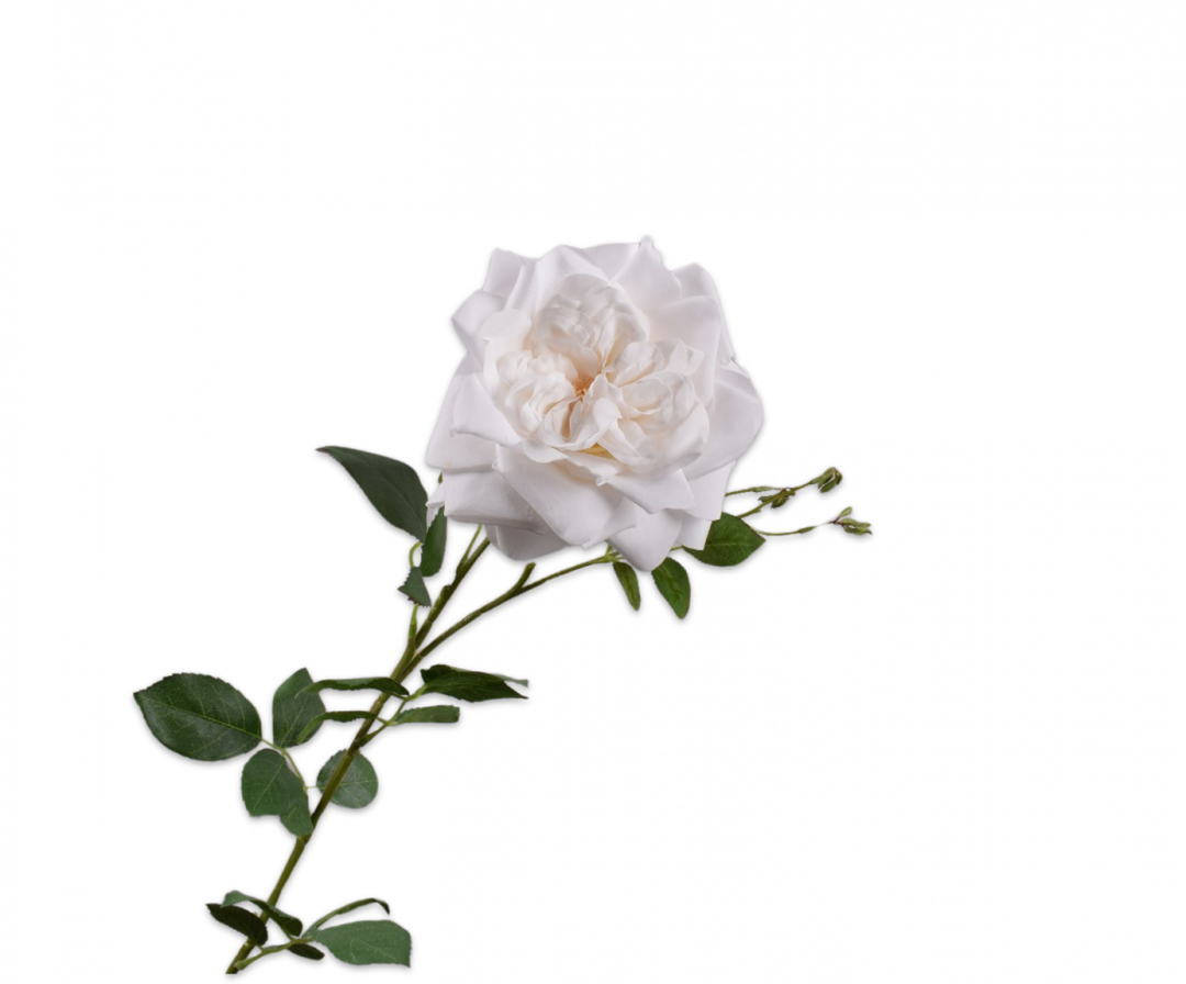 Rose Branch - Creme - 96cm