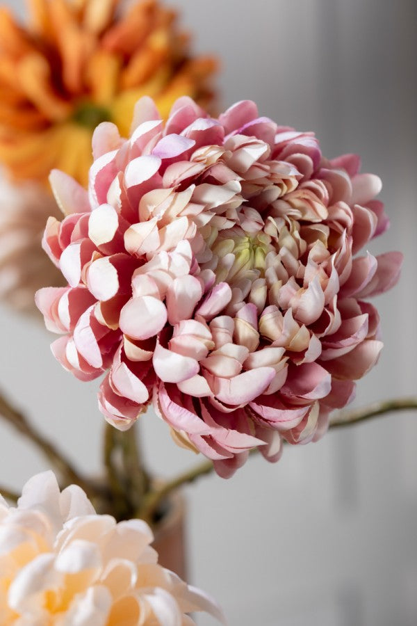 Chrysant Branch -  Lavend Creme  - 64cm