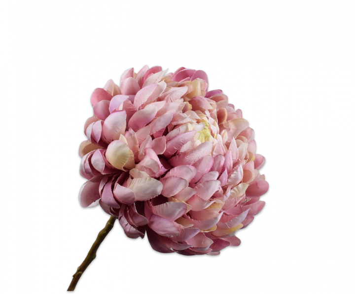 Chrysant Branch -  Lavend Creme  - 64cm