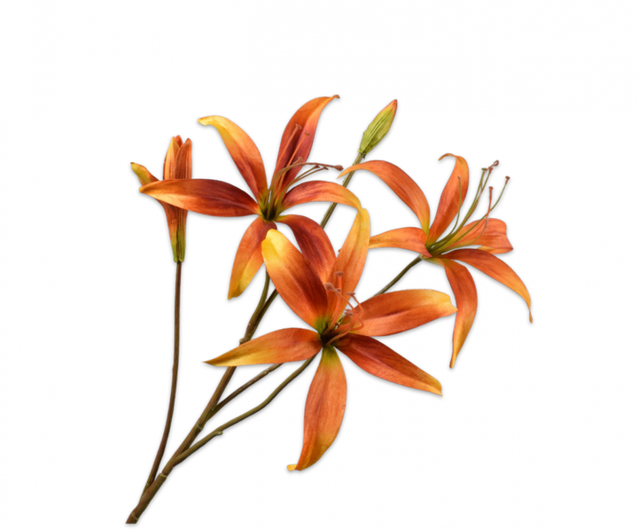 Lily Branch - Orange - 80cm