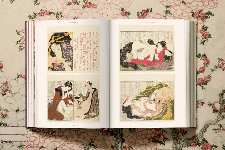 Book - Hokusai