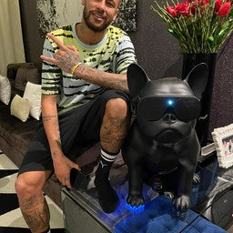 Music Speaker - Bull XL