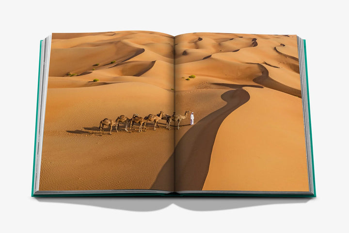 Book - Abu Dhabi Bright