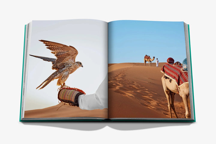 Book - Abu Dhabi Bright