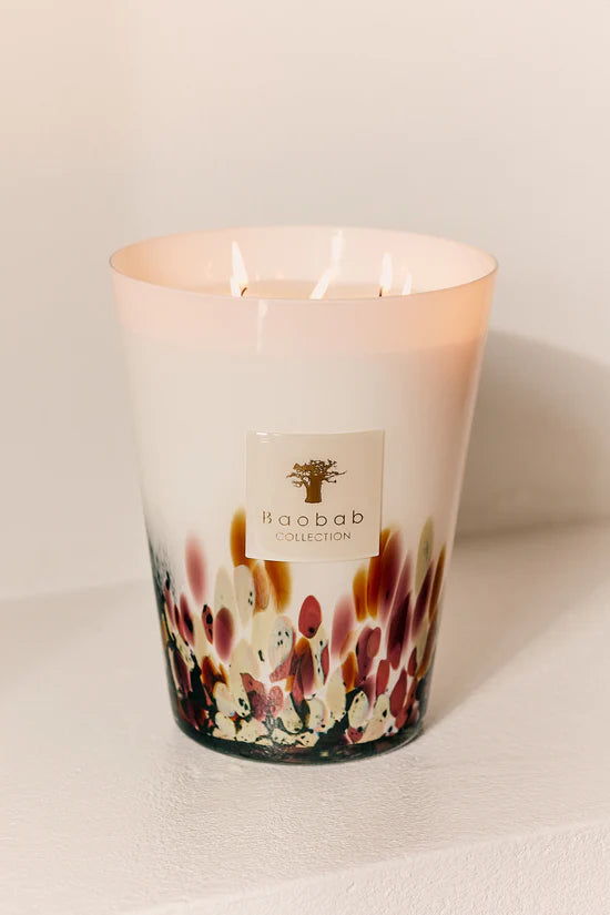 Candle - Rainforest Tanjung