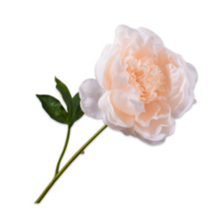 Branch - Peony - Peach - 52cm