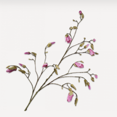 Magnolia Branch - Lavend - 132cm