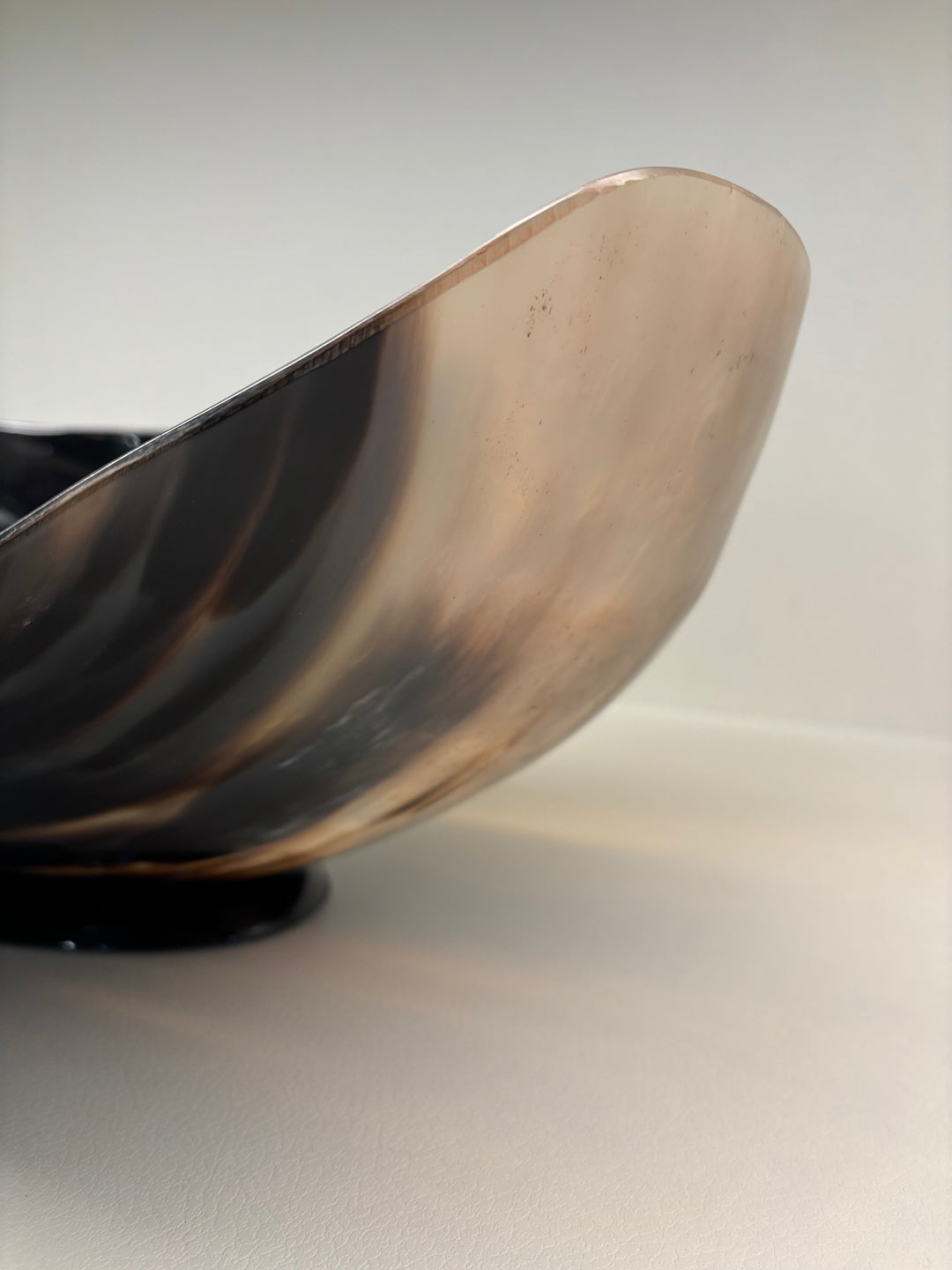 Bowl - Horn Ivora - 40x23xH20 cm