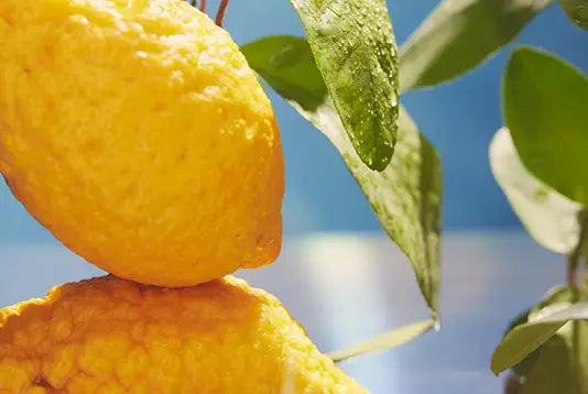 Diffuser - Limone Cedrato