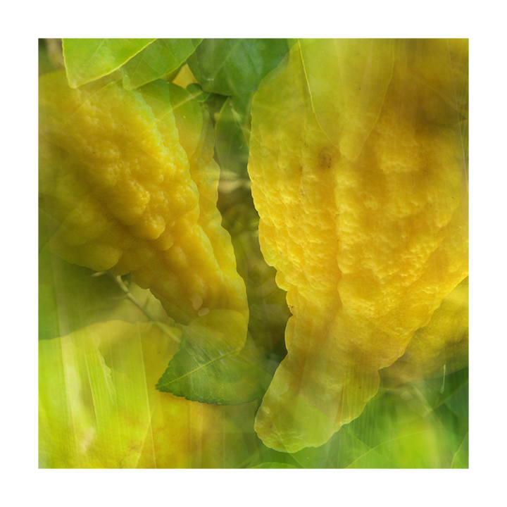 Diffuser - Limone Cedrato