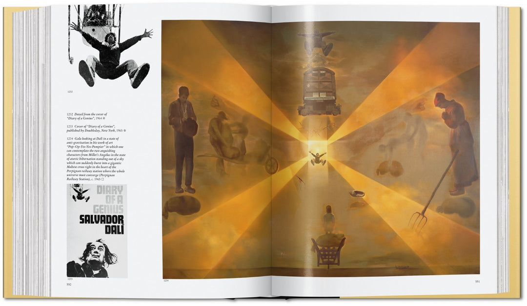 Book - Dalí. The Paintings