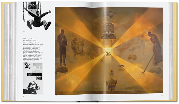Book - Dalí. The Paintings