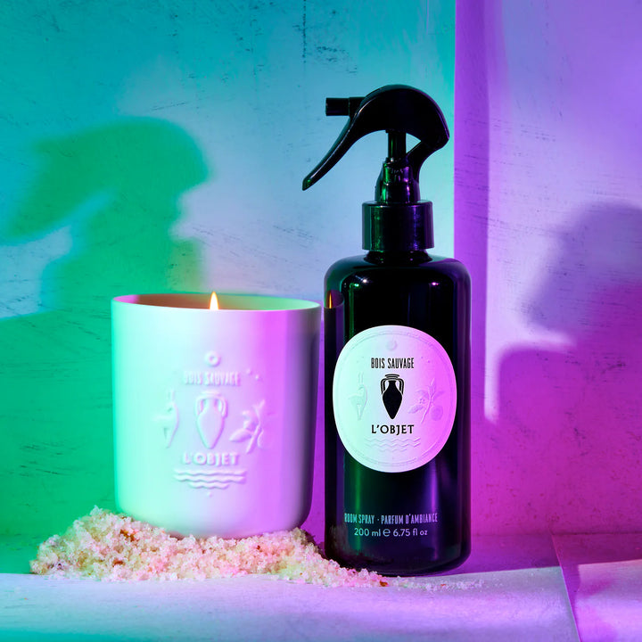 Gift Box - Bois Sauvage Room Spray + Candle