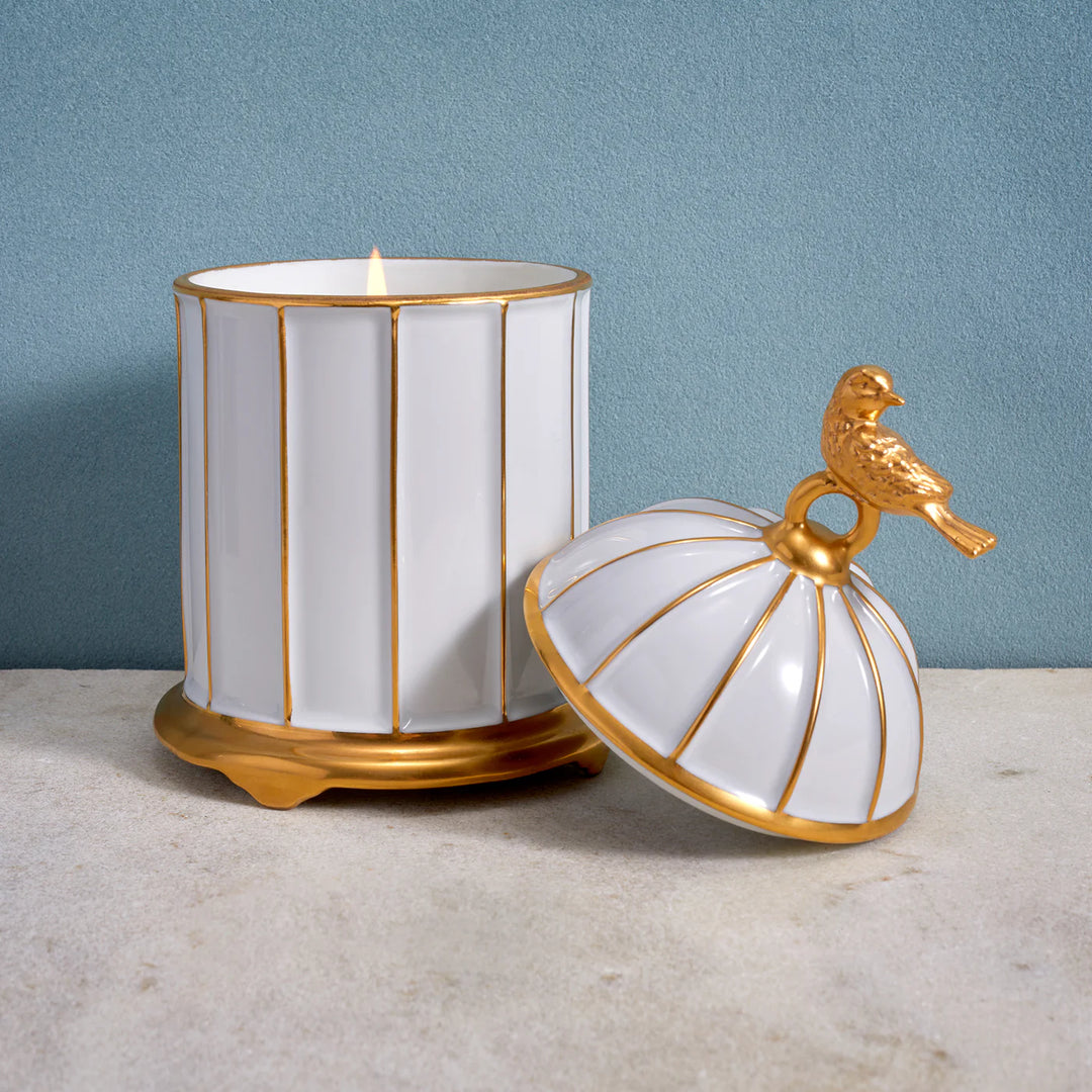 Birdcage Candle