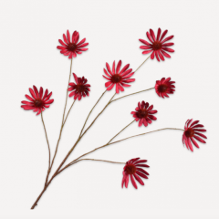 Rudbeckia Branch -  Encantador Red - 117cm