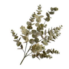 Branch - Eucalyptus - Green - 86cm