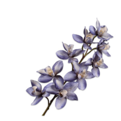 Cymbidium Branch - Blue - 88cm