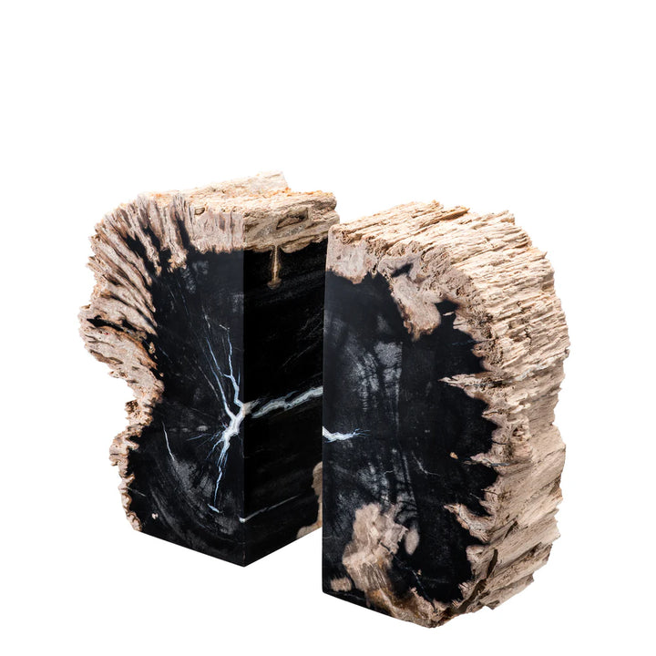 Bookend - Opia Petrified Wood - Set of 2