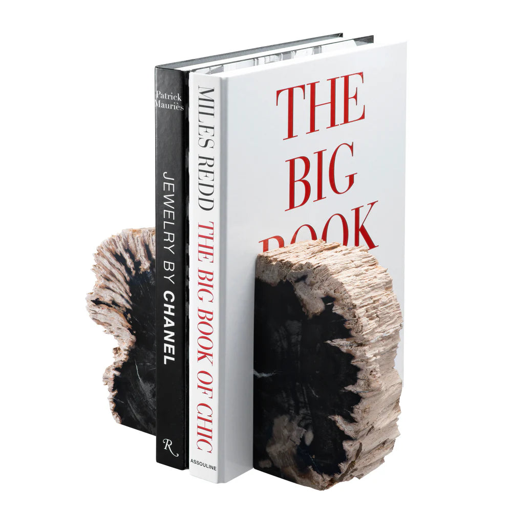 Bookend - Opia Petrified Wood - Set of 2