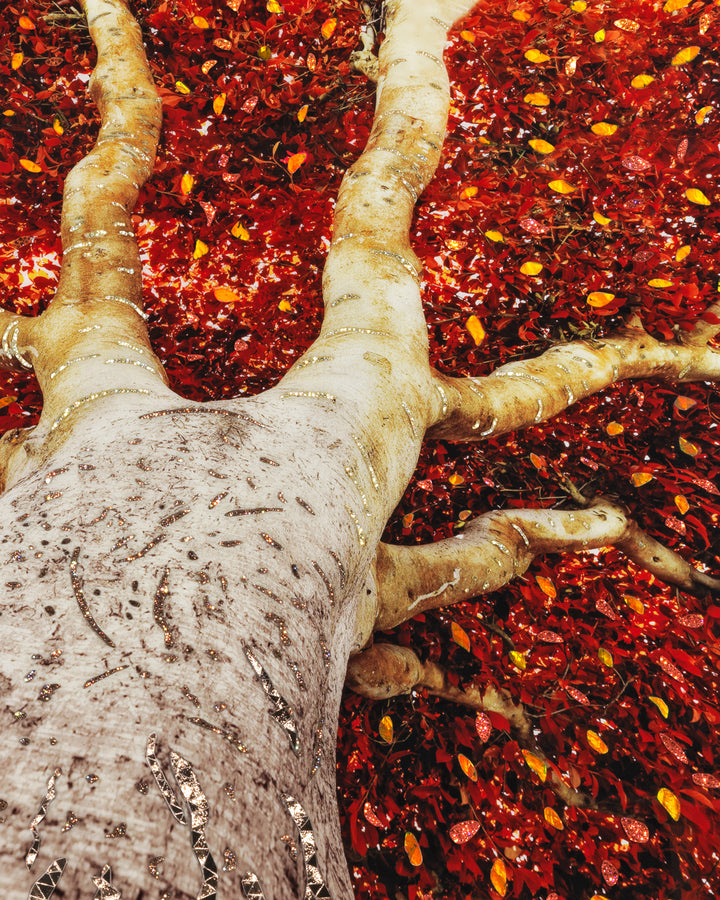 Art - Albero