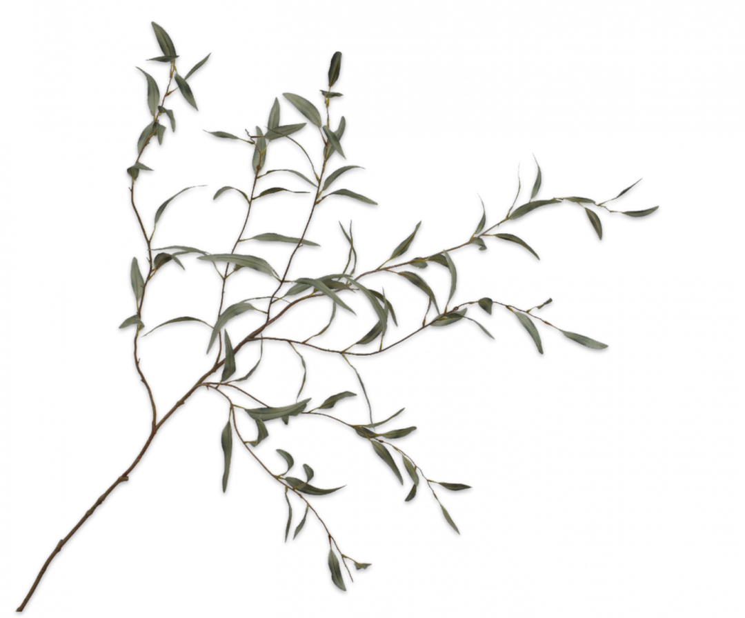 Eucalyptus Branch - Green - 123cm