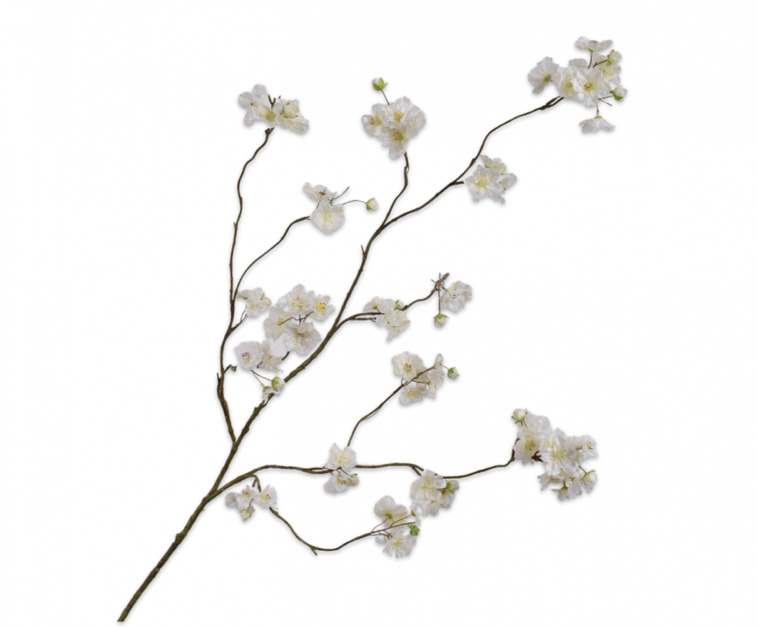 Blossom Branch - White Paradise - 127cm