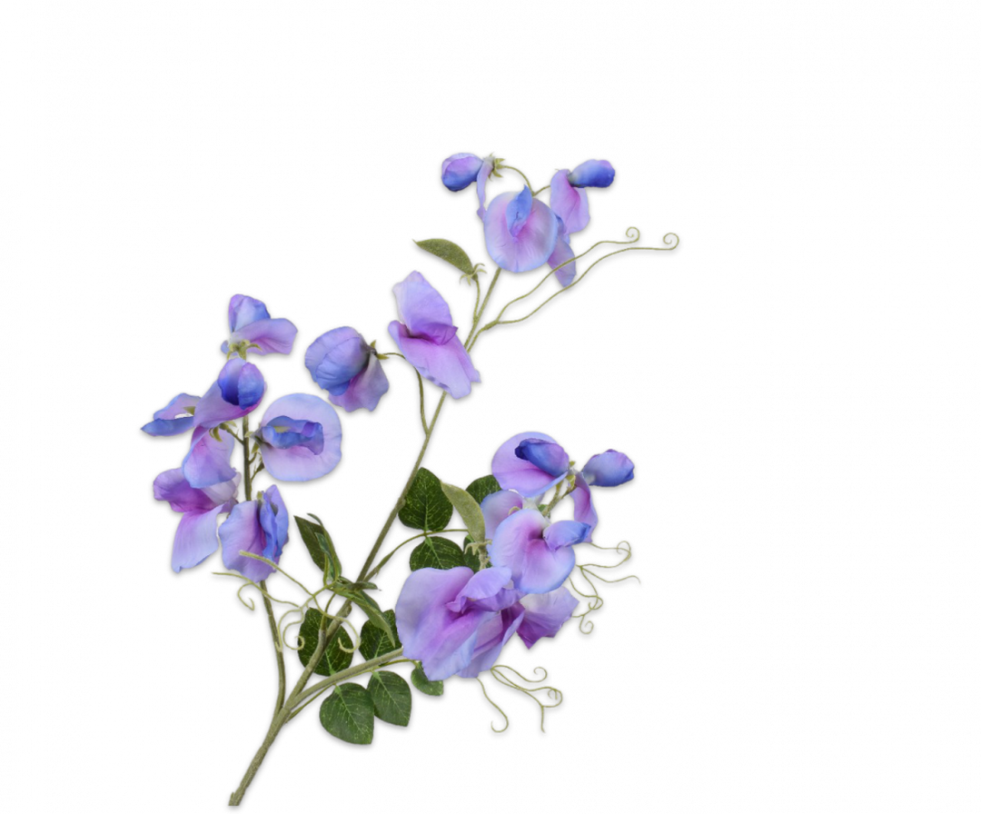 Lathyrus Branch - Lavend - 73cm