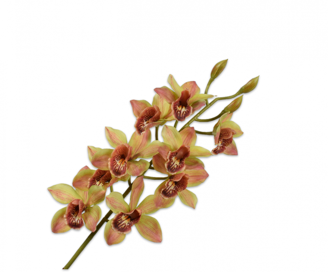 Cymbidium Branch - Green - 93cm