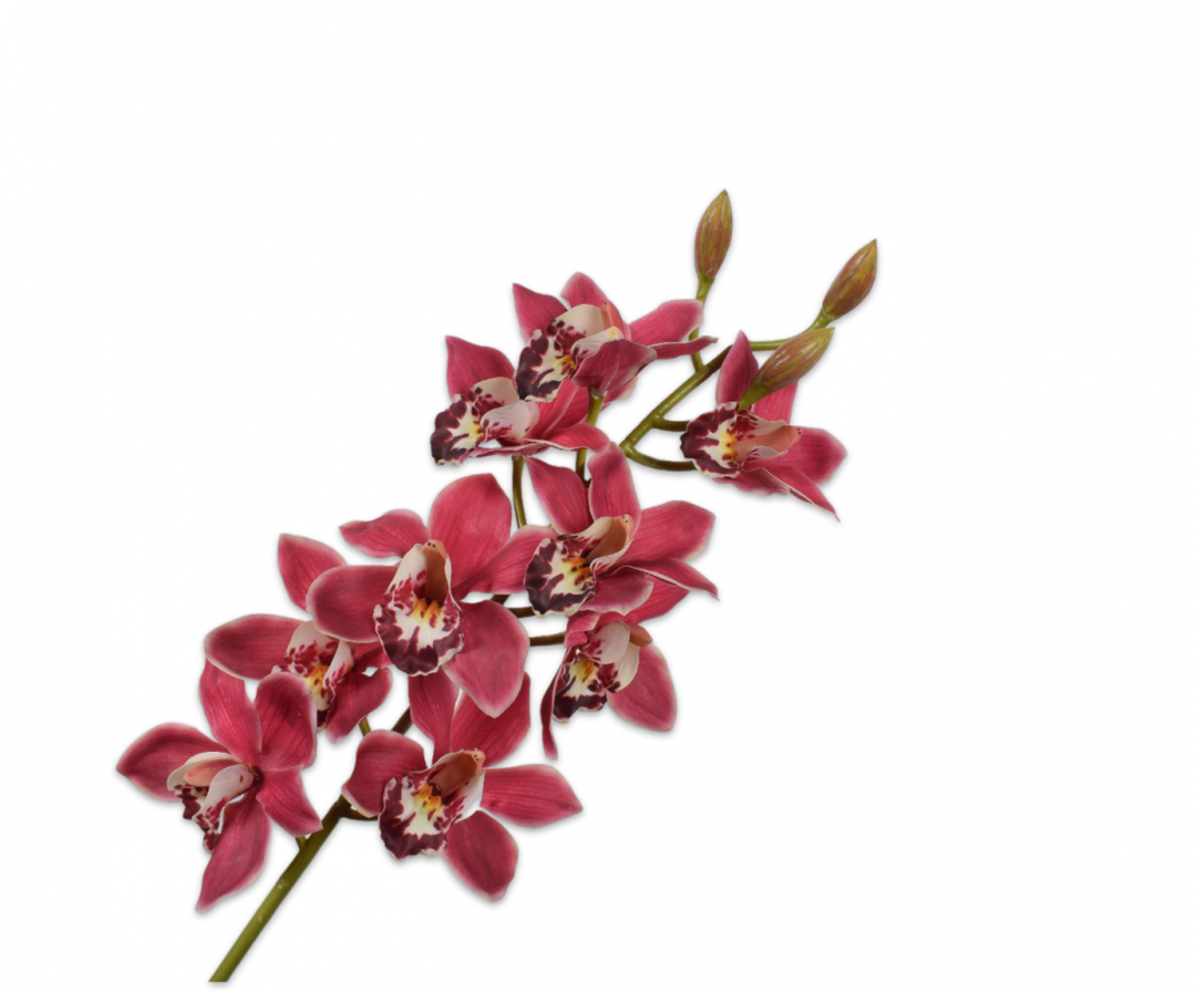 Cymbidium Branch - Red - 93cm