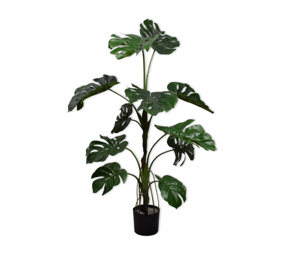 Plant Monstera - Green - 119cm