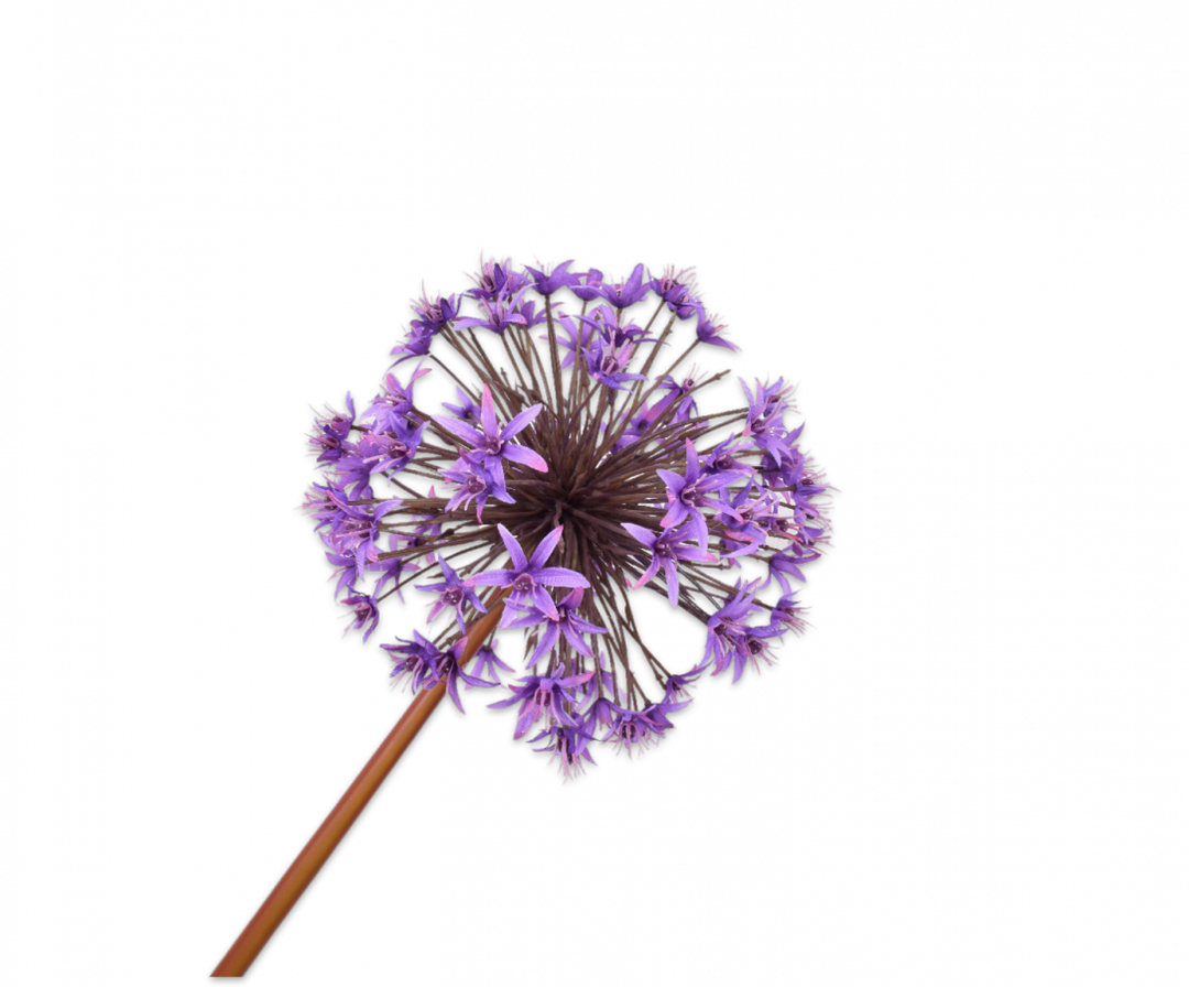 Allium Stem - Purple - 100cm