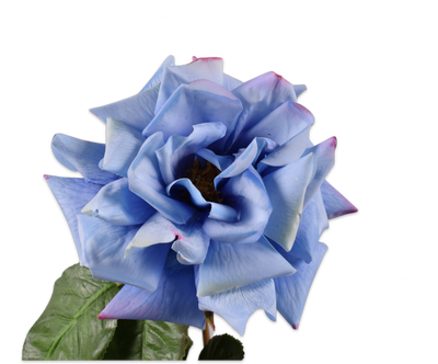 Rose Branch - Dali Blue - 69cm