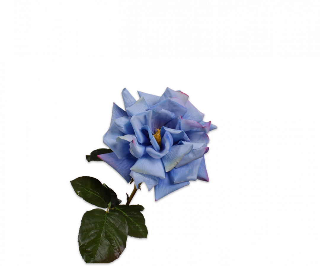 Rose Branch - Dali Blue - 69cm