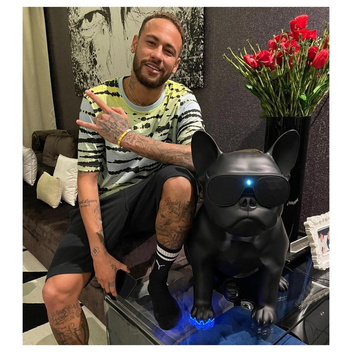 Music Speaker - Bull XL