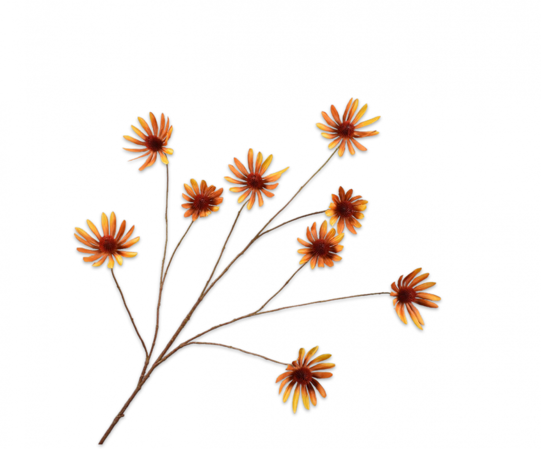 Rudbeckia Branch -  Encantador Orange - 117cm