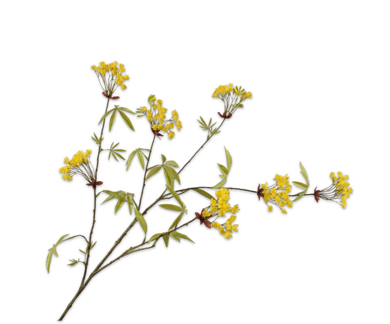 Maple Branch - Serine Yellow - 119cm