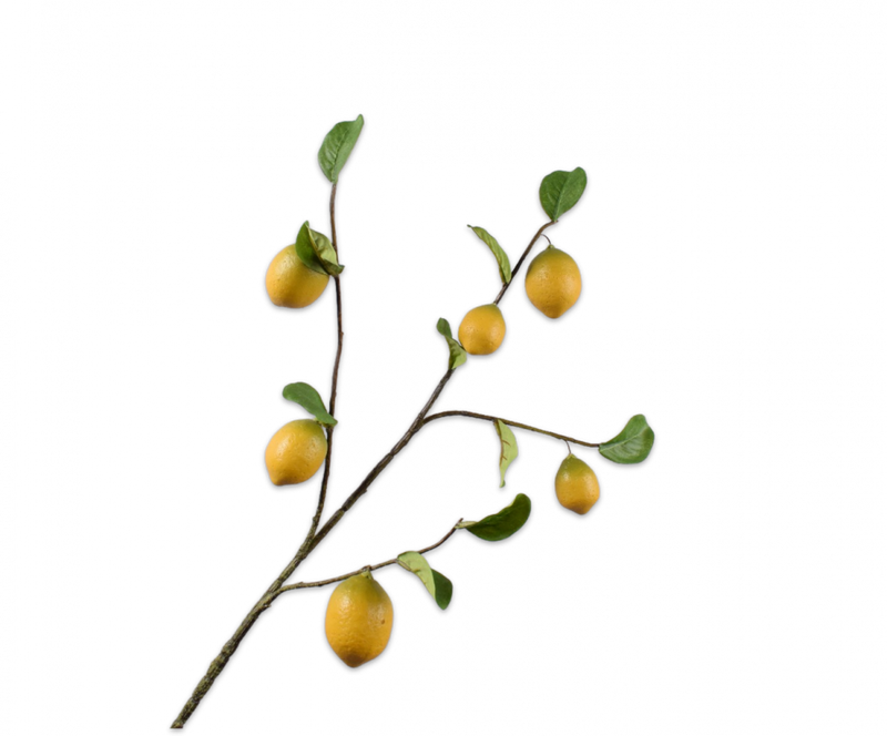 Lemon Branch - Symphony - 92cm