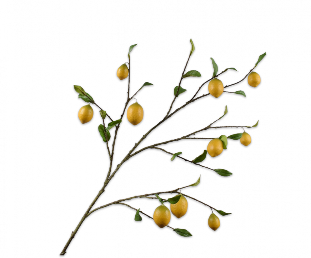 Lemon Branch - Symphony - 124cm