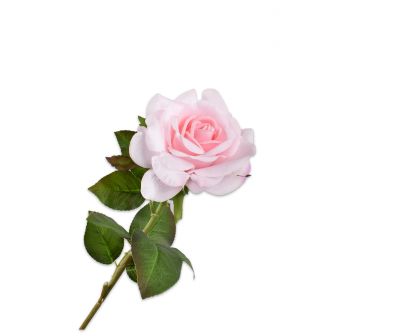 Rose Branch - Pink - 74cm