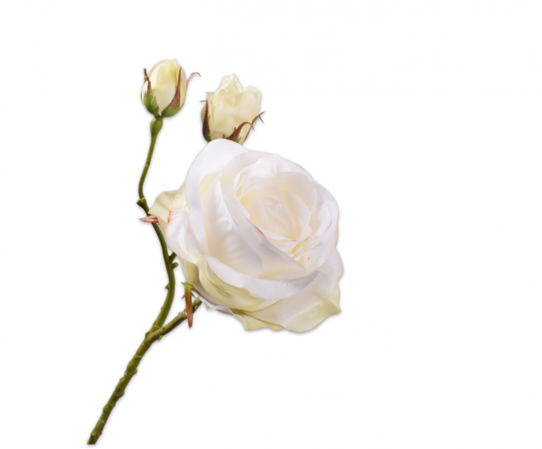 Rose Stem - Harmony - Cream - 59cm