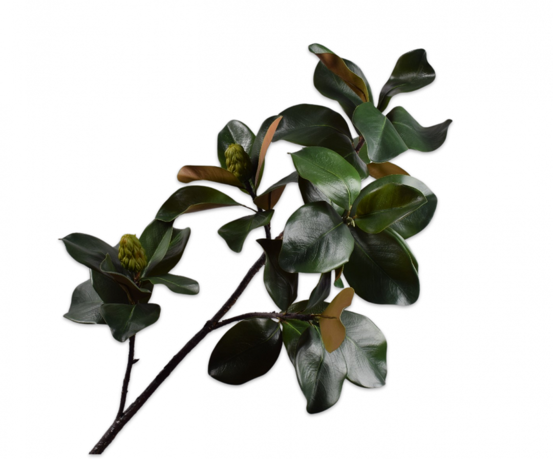 Magnolia Branch - Green Oasis - 157cm